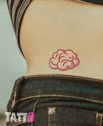 Brain
