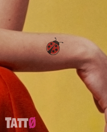 Cute Ladybug