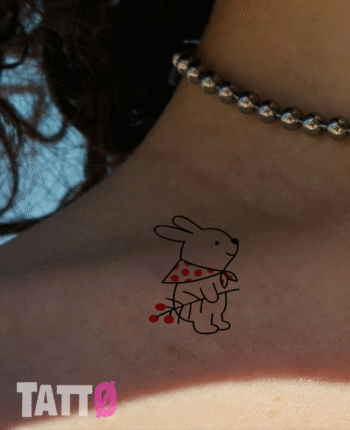 Rabbit
