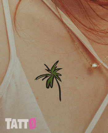 Palm Tree