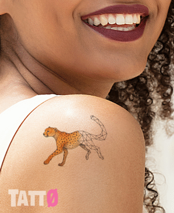 Geometric cheetah